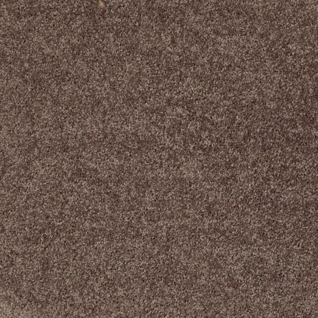 Shaw Floors Shaw Design Center Royal Portrush 1 15 Net Molasses