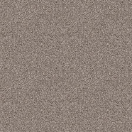 Shaw Floors Pet Perfect Influencer Net Chestnut