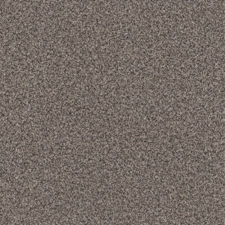 Shaw Floors Pet Perfect Grandiose Net Fossil Path