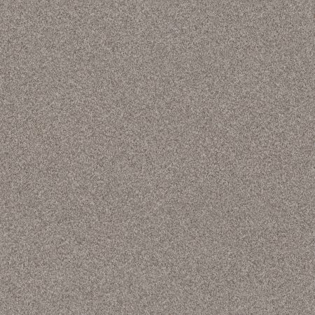 Shaw Floors Pet Perfect Grandiose Net River Run
