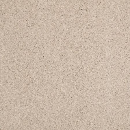 Shaw Floors Caress By Shaw Cashmere Classic II Net Harvest Moon