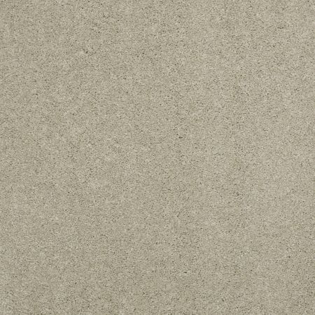 Shaw Floors Caress By Shaw Cashmere Classic II Net Spruce