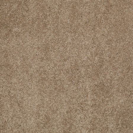 Shaw Floors Caress By Shaw Cashmere Classic II Net Pebble Path