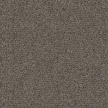 Shaw Floors Simply The Best Boundless II Net Slate Stone