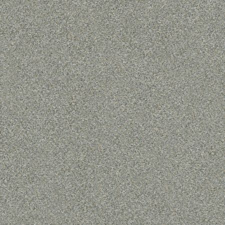 Shaw Floors Simply The Best Boundless II Net Distant Star
