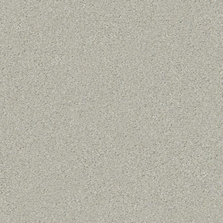 Shaw Floors Simply The Best Boundless II Net Reflection