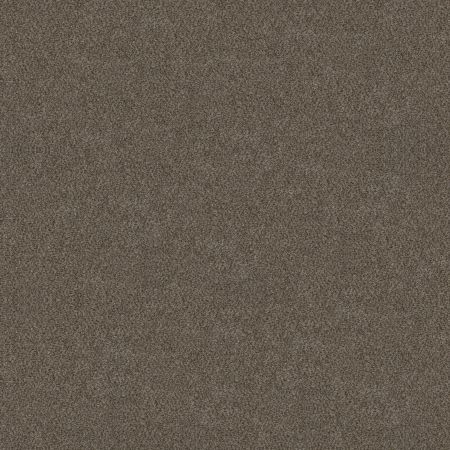 Shaw Floors Simply The Best Boundless Iv Net Woodcraft
