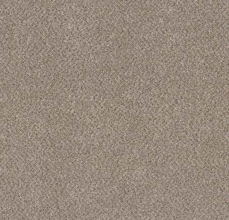 Shaw Floors Mix'd Essentials Grecian Beige(t)