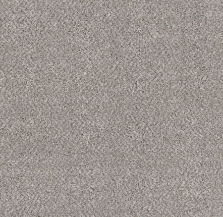 Shaw Floors Mix'd Essentials Quill Grey(t)