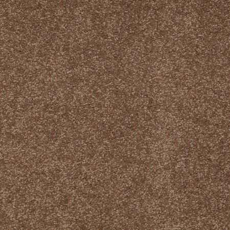 Shaw Floors Value Collections Sandy Hollow Classic III 15 Ne Pine Cone