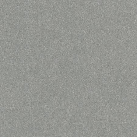 Shaw Floors Pet Perfect Hard At Play I 12' Frosted Leaf