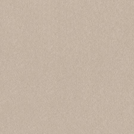 Shaw Floors Pet Perfect Hard At Play II 12' Warm Light