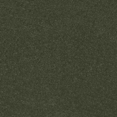 Shaw Floors Pet Perfect Hard At Play II 12' Rerooted Nature