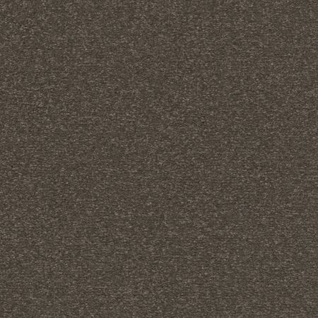 Shaw Floors Pet Perfect Posh Life Urban Rustic