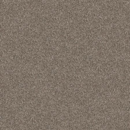 Shaw Floors Pet Perfect Yes You Can I 12' Soft Sense
