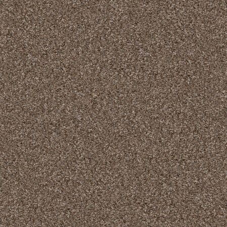 Shaw Floors Pet Perfect Yes You Can I 12' Worn Path