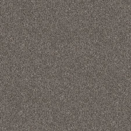 Shaw Floors Pet Perfect Yes You Can II 15' Marble