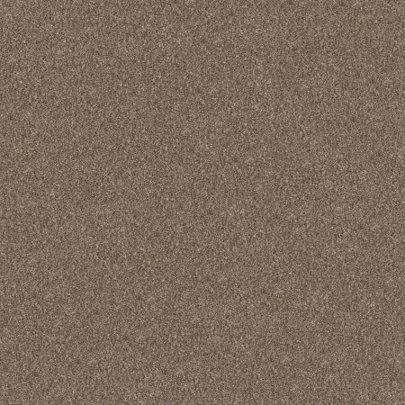 Shaw Floors Pet Perfect Yes You Can II 15' Honeycomb