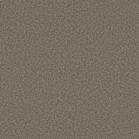 Shaw Floors Pet Perfect Plus Artistic Fusion I Cashmere