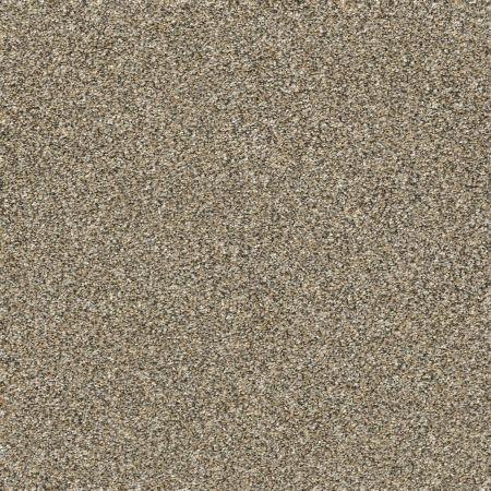 Shaw Floors Pet Perfect Plus Artistic Fusion I Honeycomb