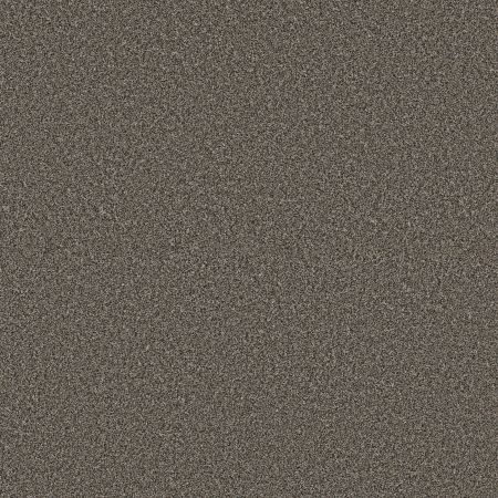 Shaw Floors Pet Perfect Plus Artistic Fusion I Cafe Noir