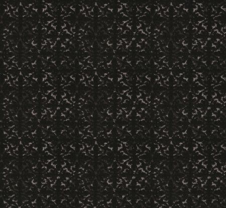 Shaw Floors Pet Perfect Plus Light Impressions Cafe Noir