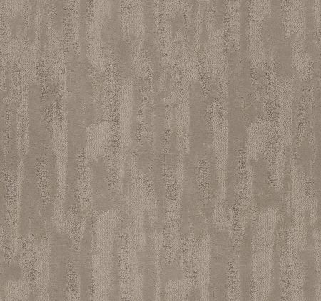 Shaw Floors Pet Perfect Plus Tranquil Spirit Chic Greige