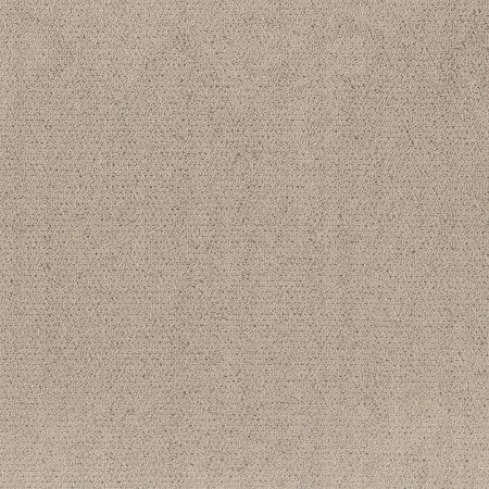 Shaw Floors Pet Perfect Intricate Trace Warm Light