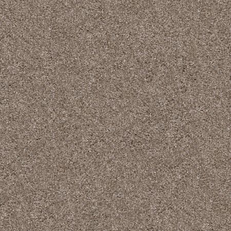 Shaw Floors Pet Perfect Yes You Can I 12' Net Cameo