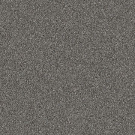 Shaw Floors Pet Perfect Yes You Can I 15' Net Sea Ice
