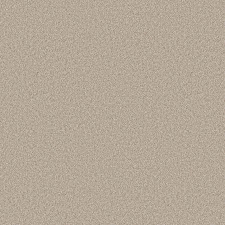 Shaw Floors Pet Perfect You Got This III Net Natural