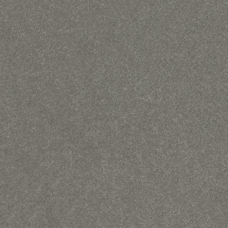 Shaw Floors Pet Perfect Hard At Play II 15 Net Shy Sage