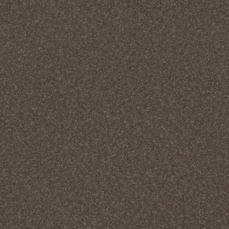 Shaw Floors Pet Perfect Hard At Play III 12 Net Urban Rustic