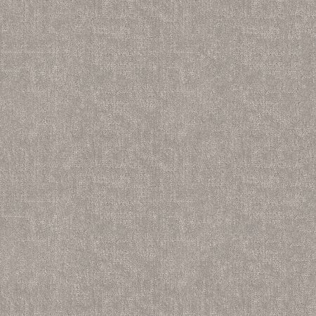 Shaw Floors Pet Perfect Run Free Net Rock Crystal