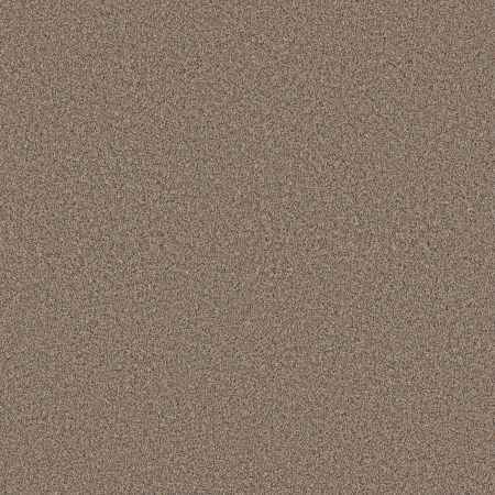 Shaw Floors Pet Perfect Plus Artistic Fusion I Net Moonwalk