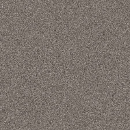 Shaw Floors Pet Perfect Plus Artistic Fusion II Net Midnight Brown