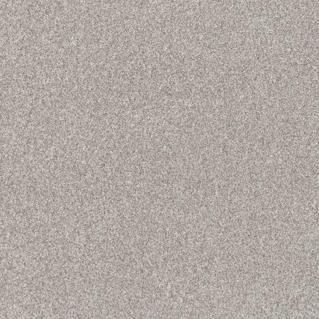 Shaw Floors Pet Perfect Yes You Can-ada 1 15 Frozen