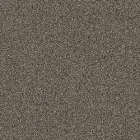 Shaw Floors Pet Perfect Yes You Can-ada II 12 Urban Rustic