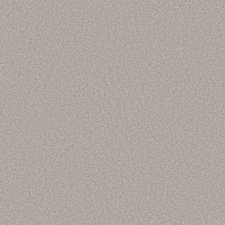 Shaw Floors Simply The Best Trusolutions II Clear Sky