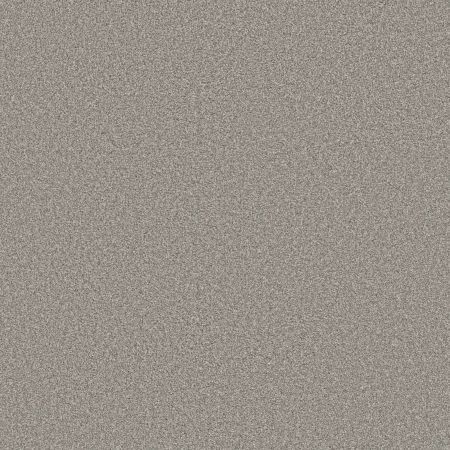 Shaw Floors Simply The Best Trusolutions II Concrete