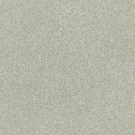 Shaw Floors SFA Tonal Comfort I Willow Tree