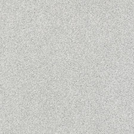 Shaw Floors SFA Tonal Comfort I Bay Waves