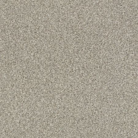 Shaw Floors SFA Tonal Comfort I Back Patio
