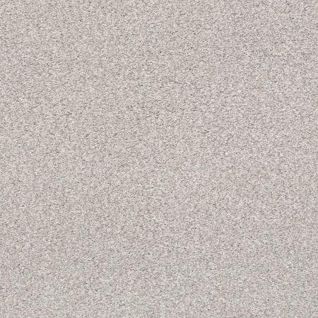 Shaw Floors SFA Tonal Comfort II Dreamy