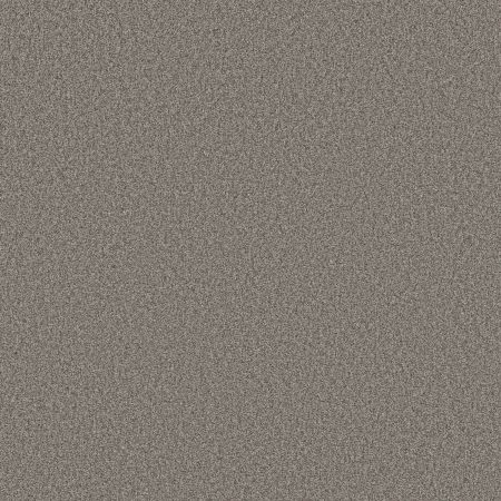 Shaw Floors SFA Tonal Comfort II Natural Fit