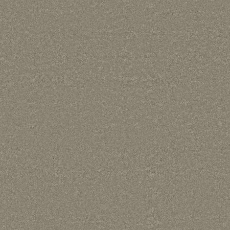 Shaw Floors Pet Perfect Way To Go II Mossy Oak