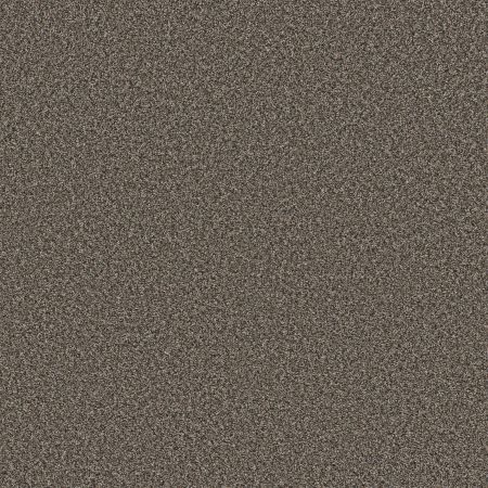 Shaw Floors Pet Perfect Remixed Classic Rock Garden