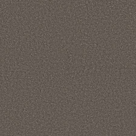 Shaw Floors Pet Perfect Ultra Lush Cappuccino