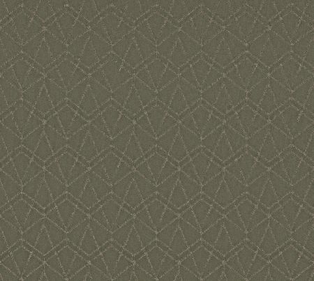Shaw Floors Pet Perfect Plus Point Of View Rerooted Nature