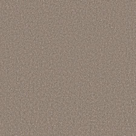 Shaw Floors Prevalent Sahara